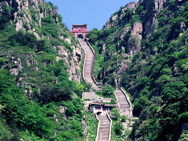 佳节清明桃李笑 踏青赏花揽春色