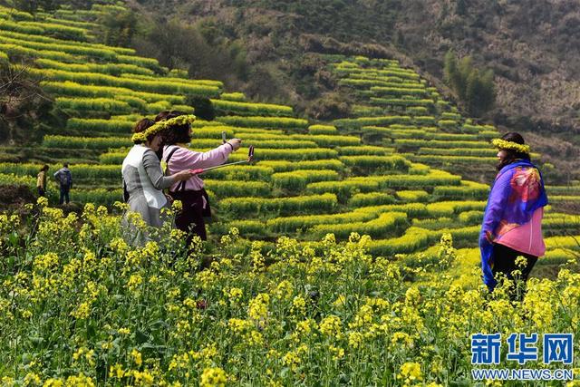 佳节清明桃李笑 踏青赏花揽春色