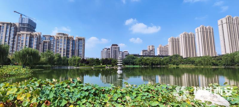 雨后风景美如画