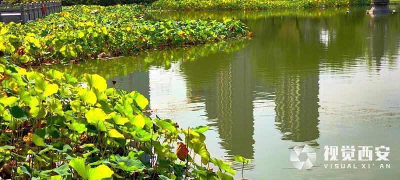 雨后风景美如画