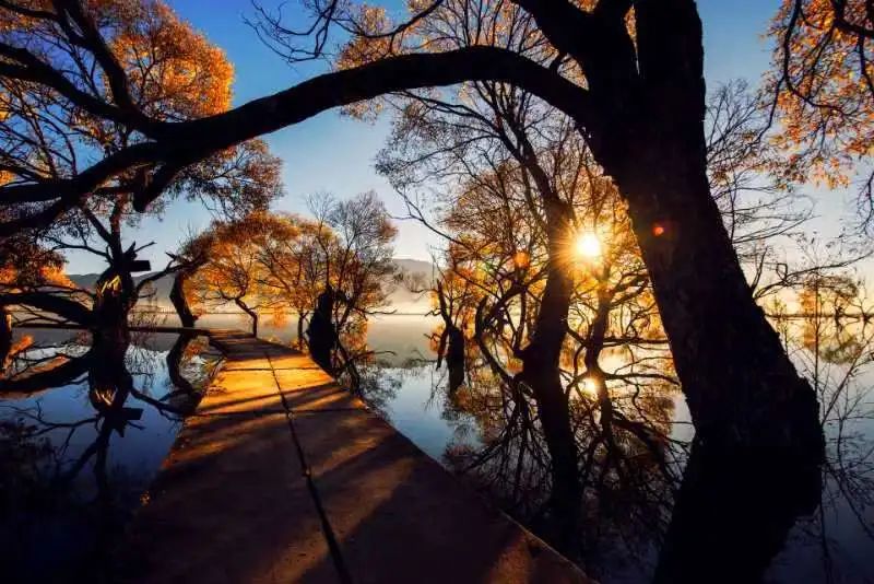 鹤庆黄龙潭风景区图片图片