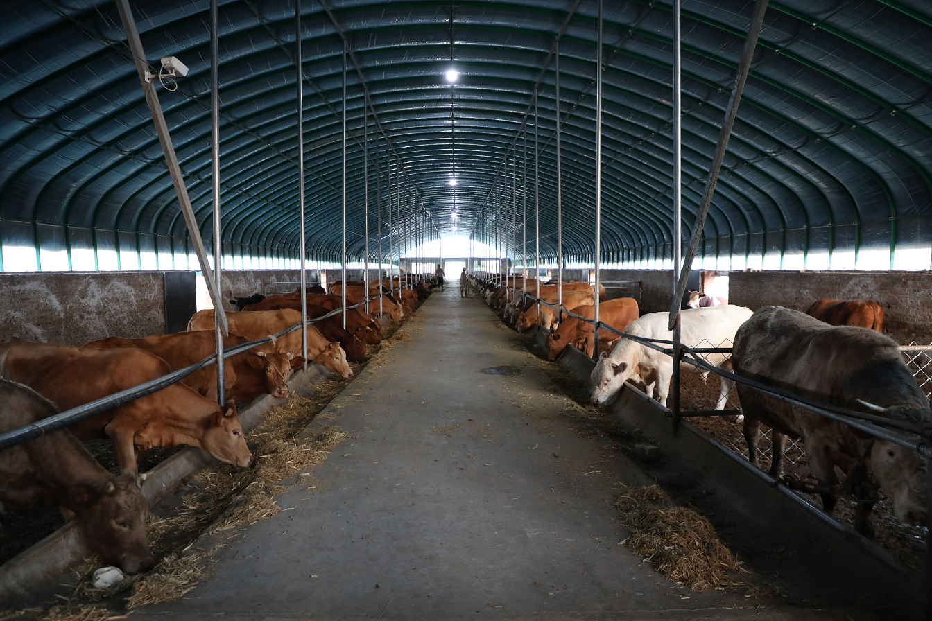 横山区殿市镇：抓好“土特产” 推动“村强”带“民富”_fororder_图片2