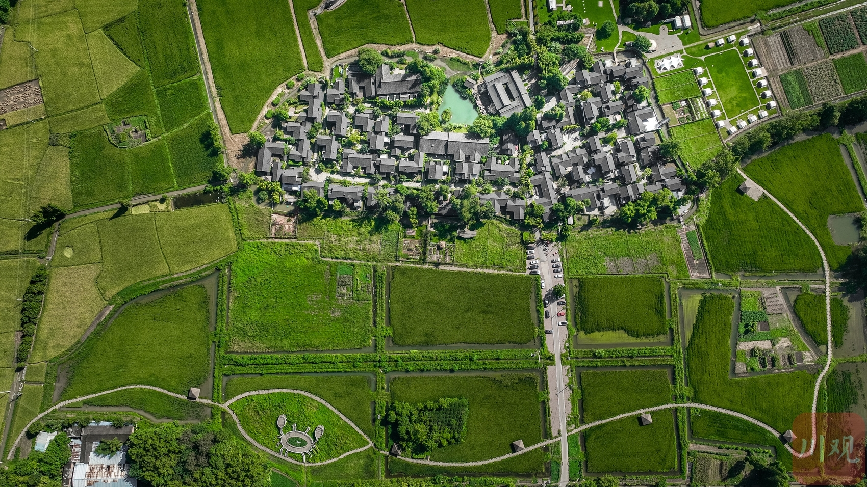 （转载）成都大邑：稻乡渔歌奏响乡村振兴“共鸣曲”