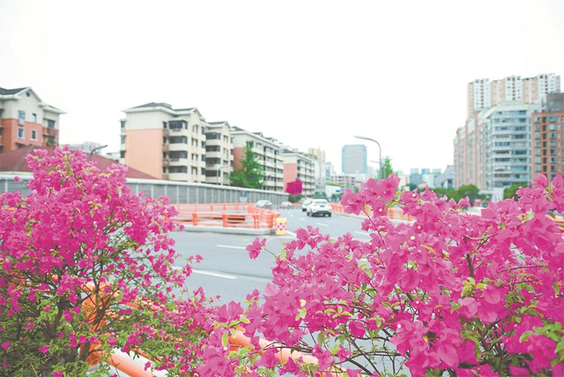 （转载）科技助力 成都园艺育出新“花样”_fororder_未标题-1