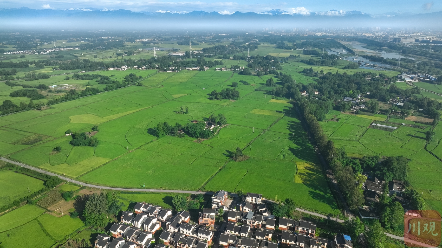 （转载）成都大邑：稻乡渔歌奏响乡村振兴“共鸣曲”