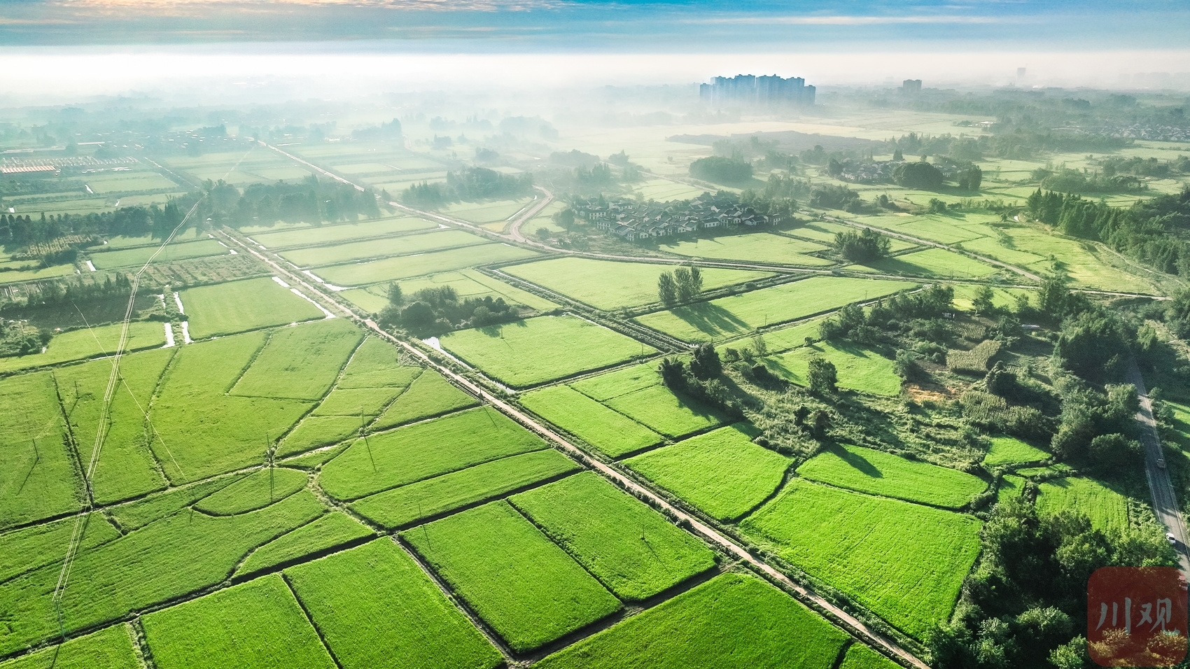 （转载）成都大邑：稻乡渔歌奏响乡村振兴“共鸣曲”