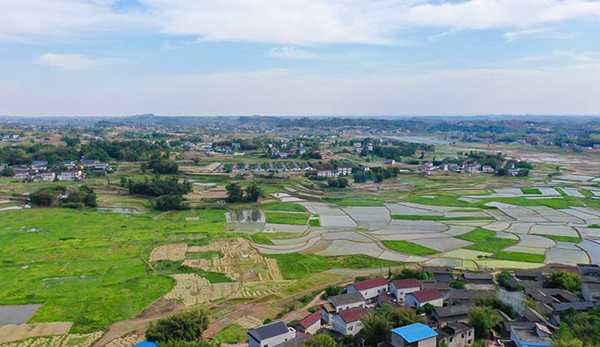 自贡市大安区何市镇上榜首批国家农业产业强镇