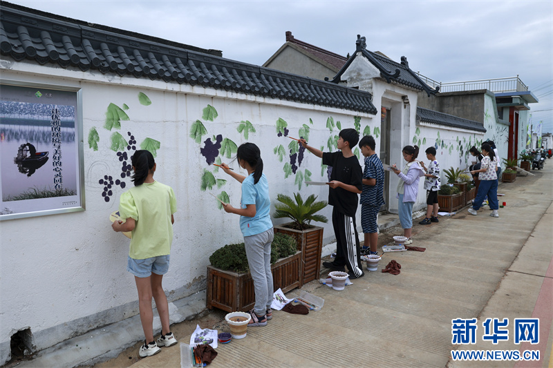 江蘇興化:“小葡萄”結出“致富果”_fororder_20230831_090749_001