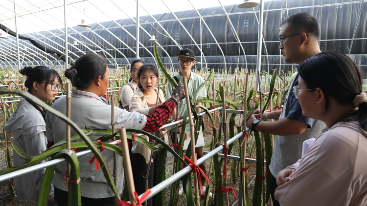 图片默认标题_fororder_3