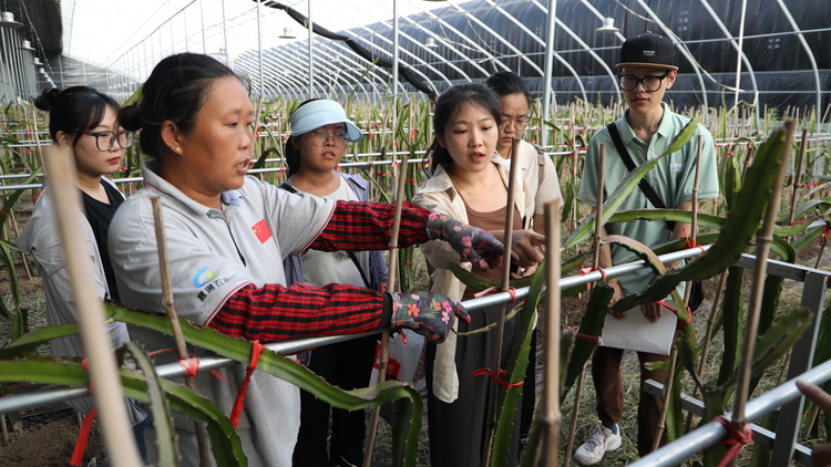 图片默认标题_fororder_4