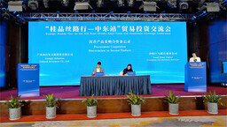 积极搭建交流合作平台  助推广西与中东经贸合作行稳致远