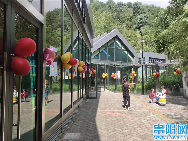 贵阳黔灵山公园里的大熊猫海浜、星宝过生日了！