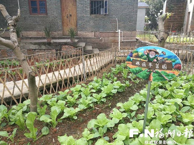 長樂：房前屋後建菜園花圃 為鄉村振興 “增色 ”