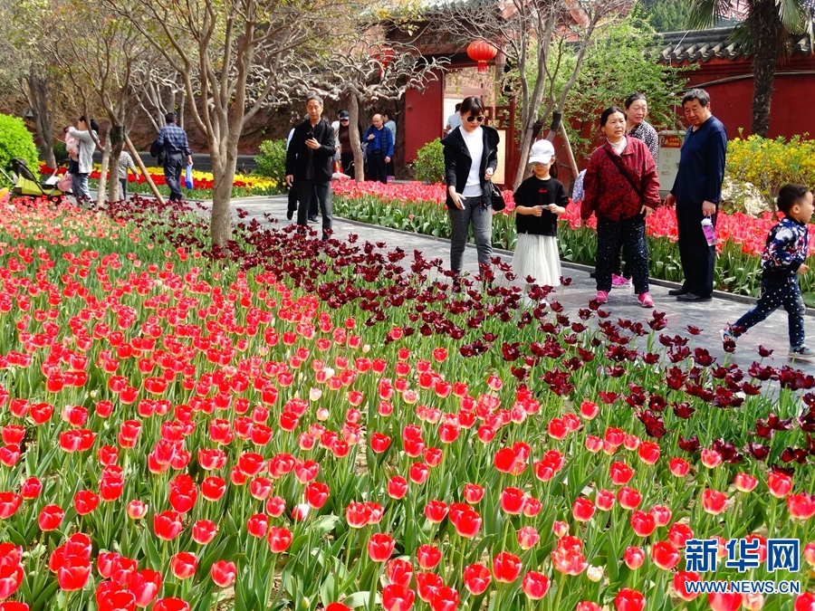 【焦点图-大图】开封：春日花香人悠闲