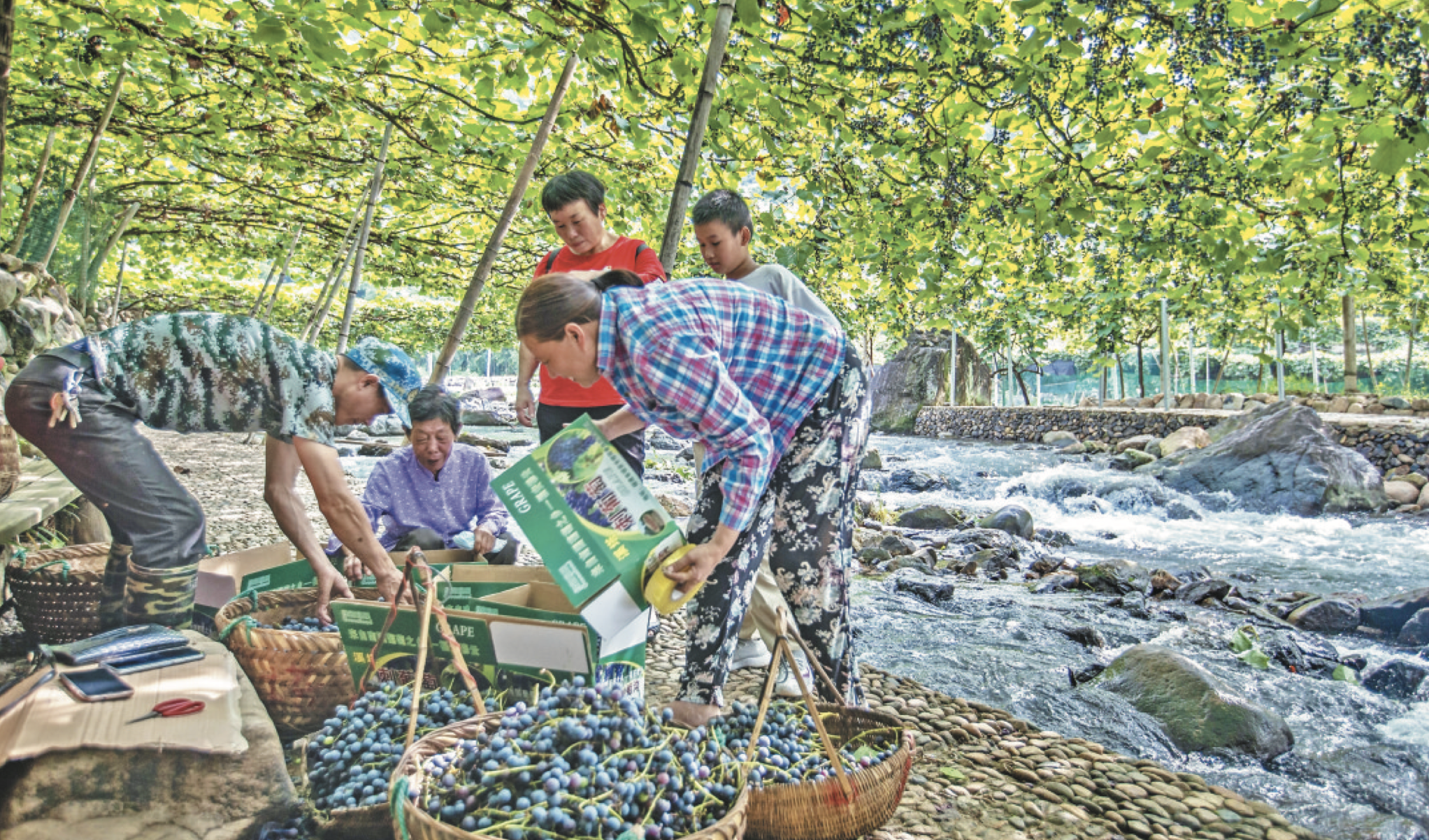 宁德福安：做足文旅、农旅融合大文章 走具有畲族特色的乡村振兴路_fororder_WX20230831-092323@2x