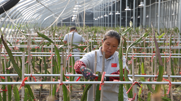 图片默认标题_fororder_2