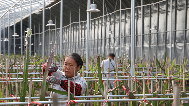 图片默认标题_fororder_1