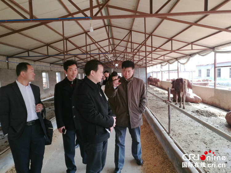 【河南好项目-图片】河南郏县发展壮大红牛产业