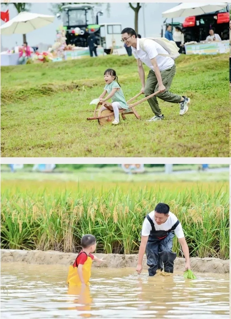 （转载）全环畅玩不停！中秋国庆环城生态区300场活动等你打卡