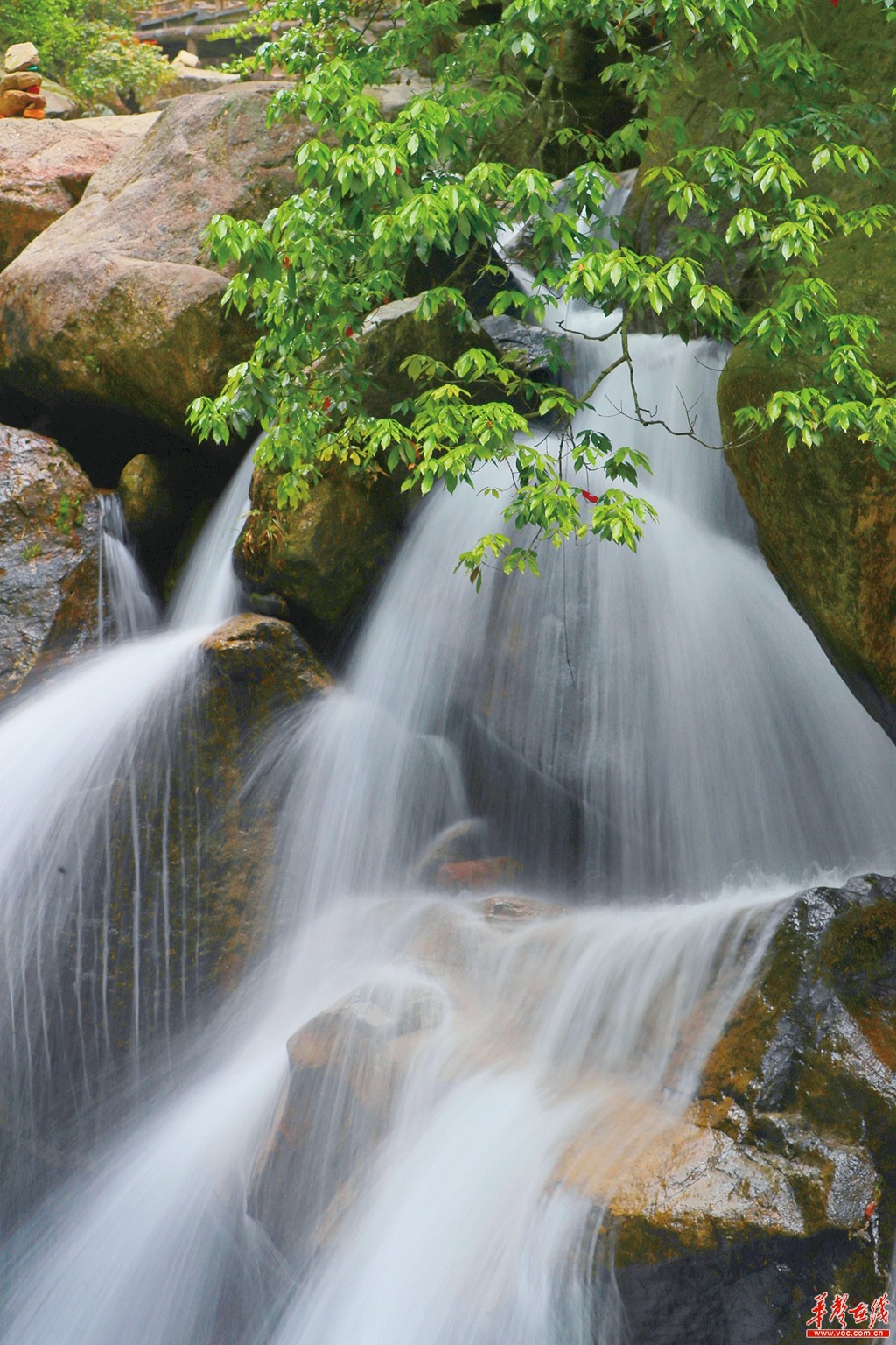 湖南郴州：山水画卷 天下莽山