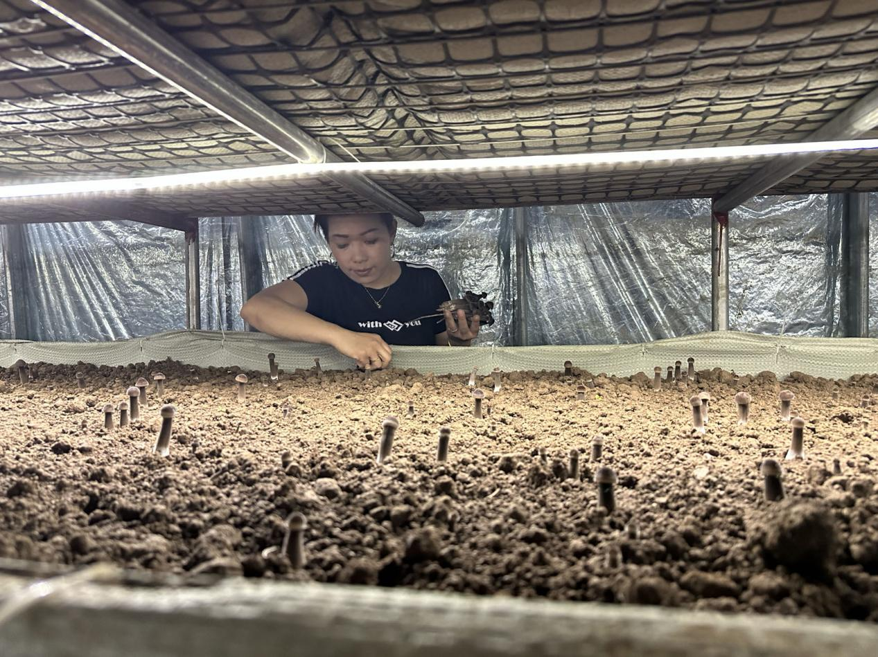 河北海兴：“微工厂”助力村民家门口就业_fororder_图片7