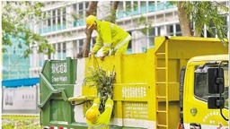 广东省多地解除“五停” 生产生活有序恢复