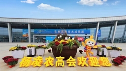 農高會，何以火爆30年？