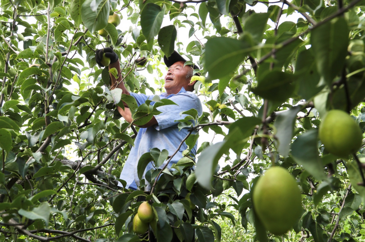 图片默认标题_fororder_图片1