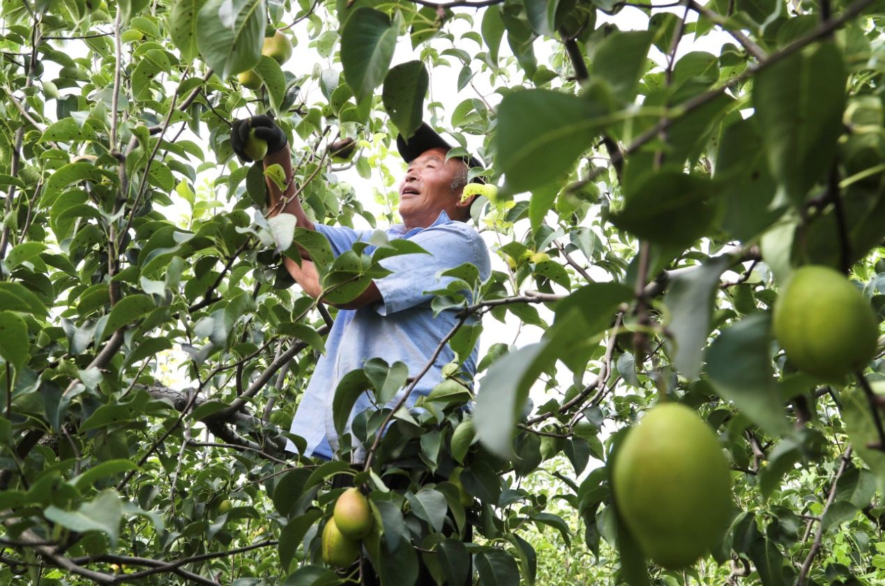 图片默认标题_fororder_图片1