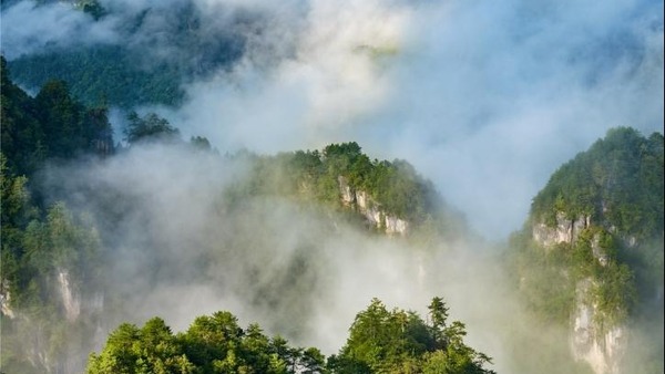 雲霧神農架 仙氣十足