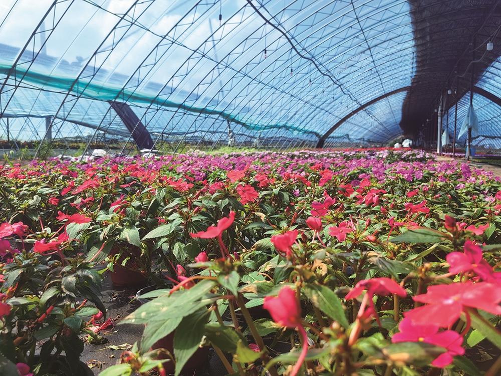 長春市九台區：田疇沃野繪新景_fororder_長春5-ce60c6b5-5d6e-4476-a73e-d7cce3b152a4