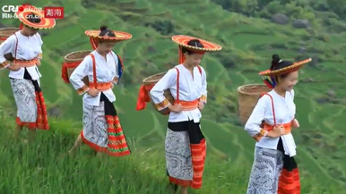老外看非遗 “湘”约云上花瑶