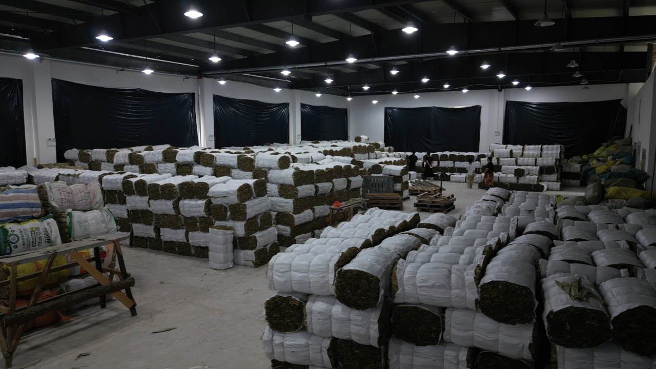 浙江武义西联乡：一片叶子的共富故事_fororder_11615670519428