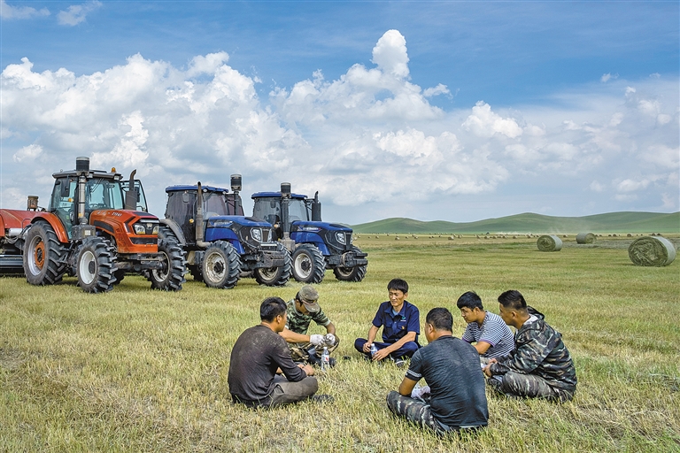 羊草收获季：既护生态 又富口袋_fororder_2934657_an_1693546821196_s