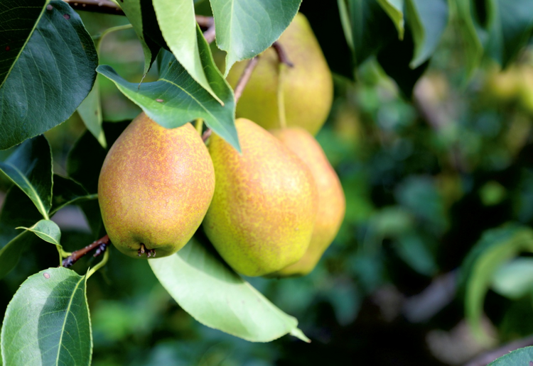 图片默认标题_fororder_图片2