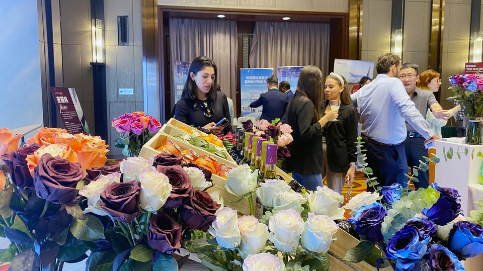 （转载）推介会“闹热”、多条国际货运航线开通 成都外贸蕴藏发展新机遇