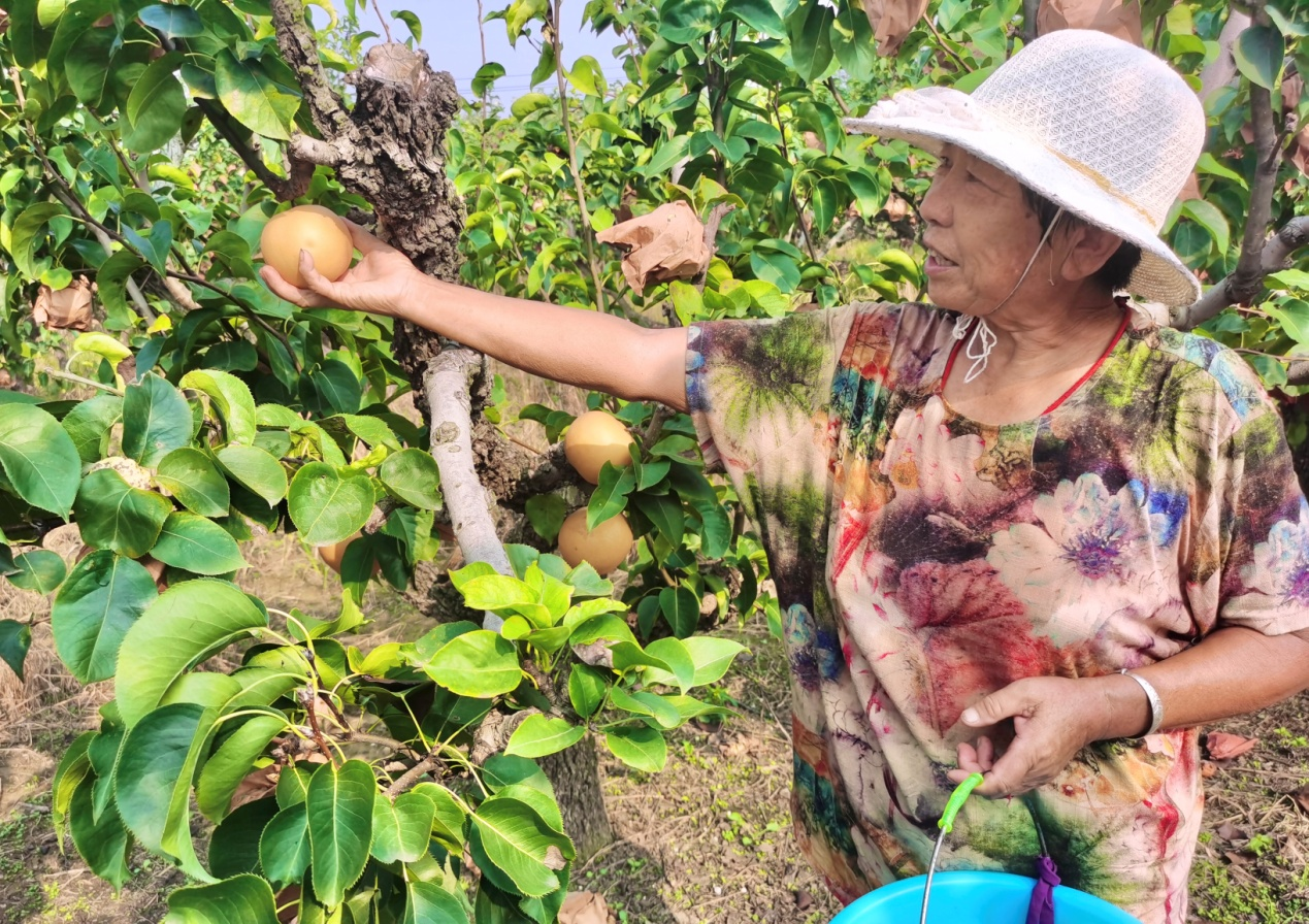 图片默认标题_fororder_图片4