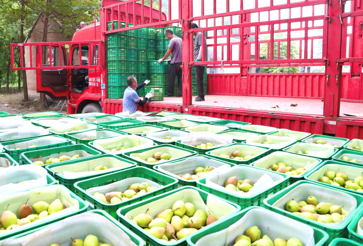 图片默认标题_fororder_图片3