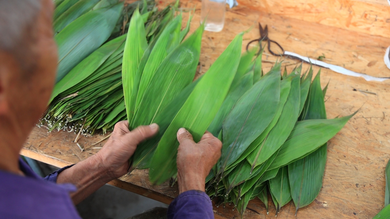 浙江武义西联乡：一片叶子的共富故事_fororder_11615670520388