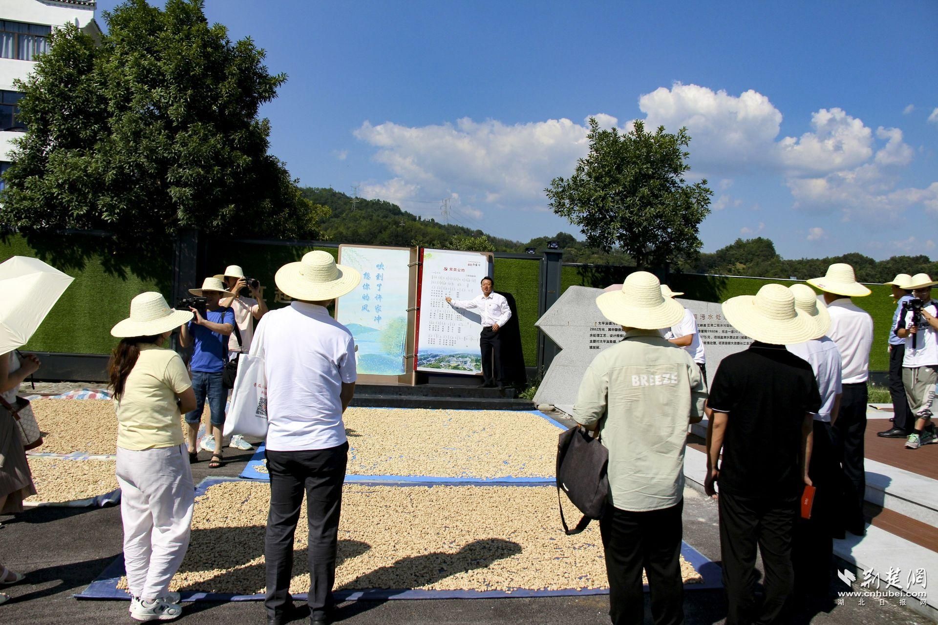 “荆楚民生观察团”普法主题调研·宜昌丨“法律明白人”擦亮和美乡村幸福底色