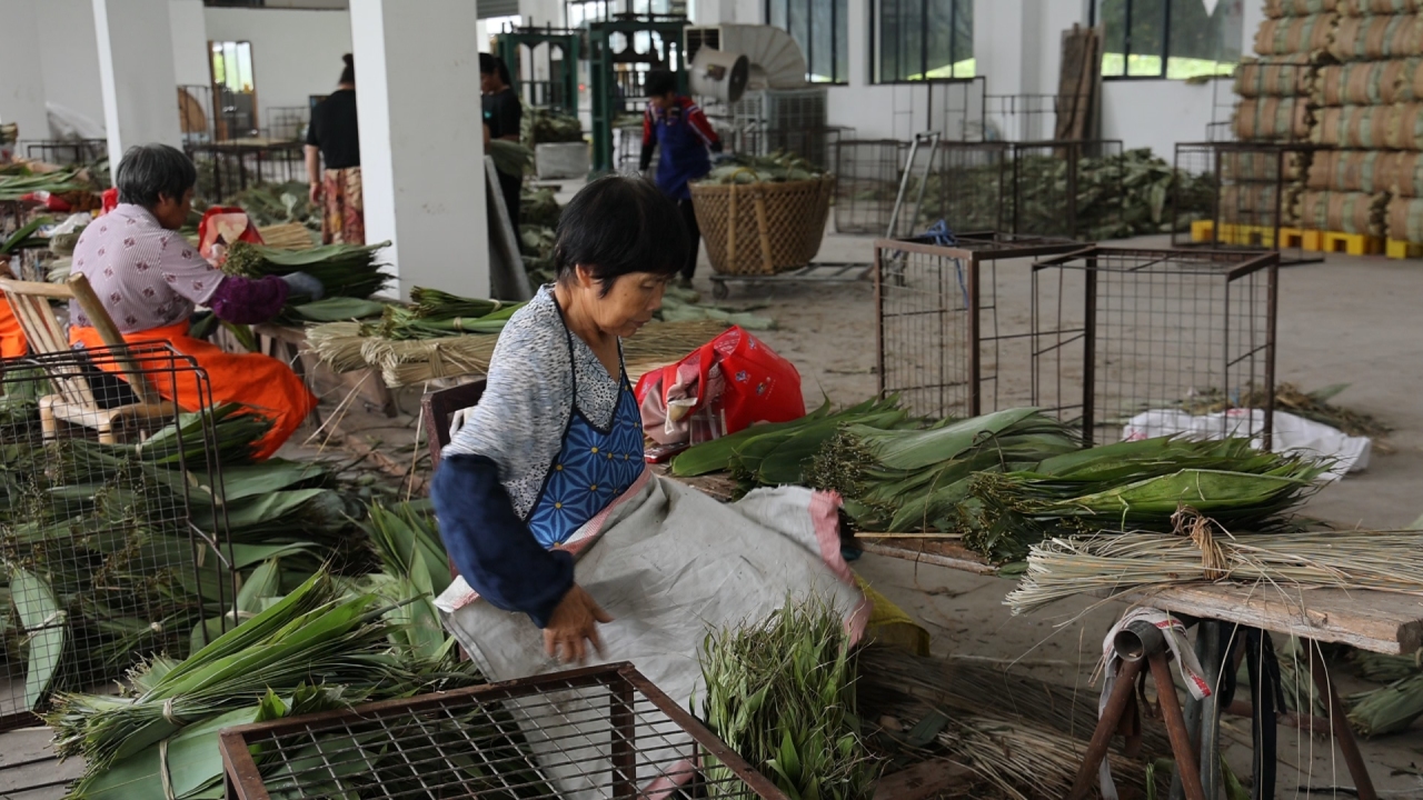 浙江武义西联乡：一片叶子的共富故事_fororder_11615670519748