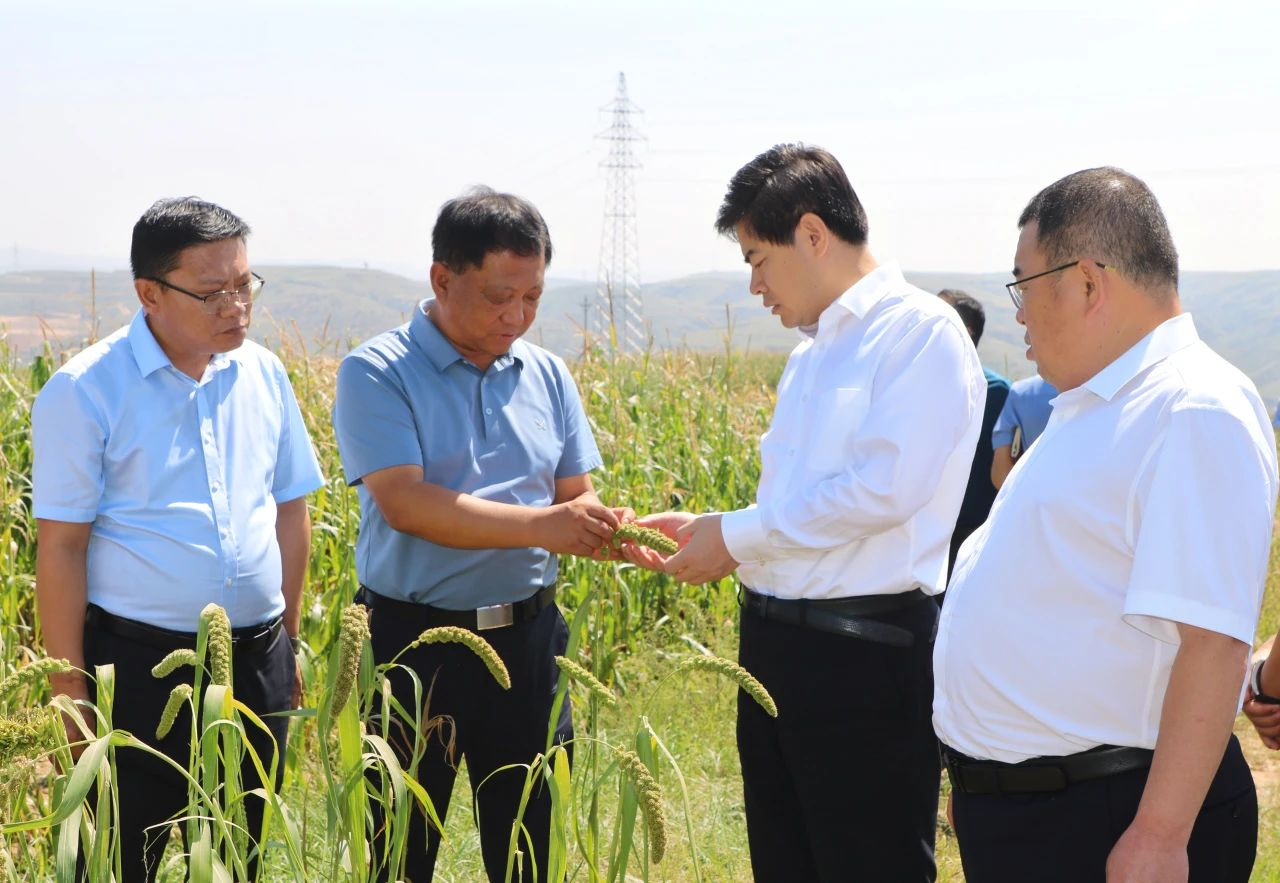 榆林市府谷县委书记田小宁调研乡村振兴及农作物受损情况_fororder_7