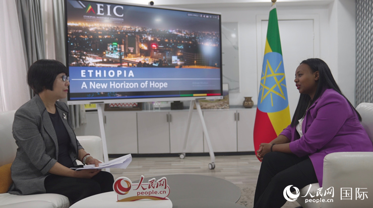 埃塞俄比亚投资委主任：期待“一带一路”带来更多投资