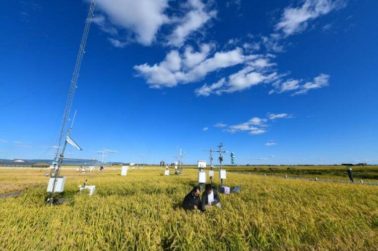 今日新華每日電訊頭版,吉林發展亮點滿滿!