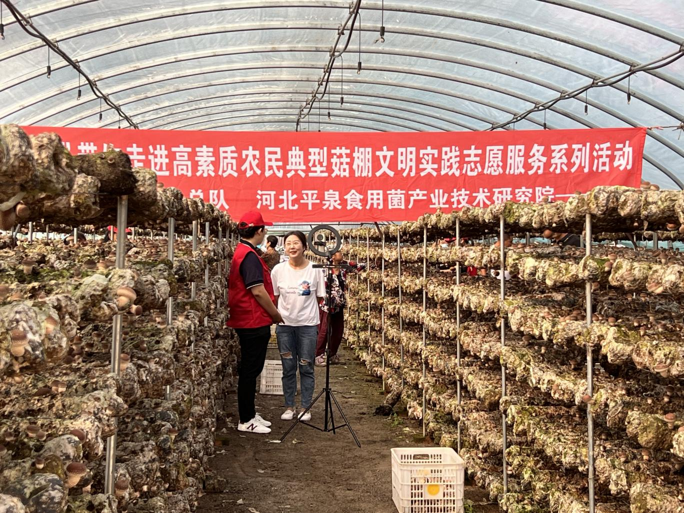 河北平泉：“菇农加油站”服务菇农零距离_fororder_图片1