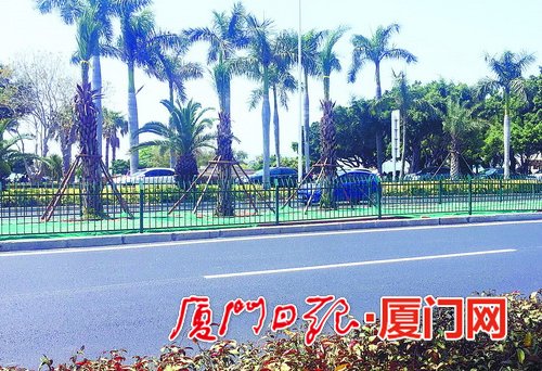 【福建时间 列表】【滚动新闻】【地市 福州】厦门书法广场排洪沟改造完工 交通压力将得到缓解
