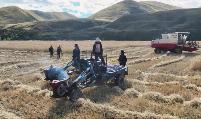 （转载）青稞飘香“丰”景美 四川雅江秋收正当时