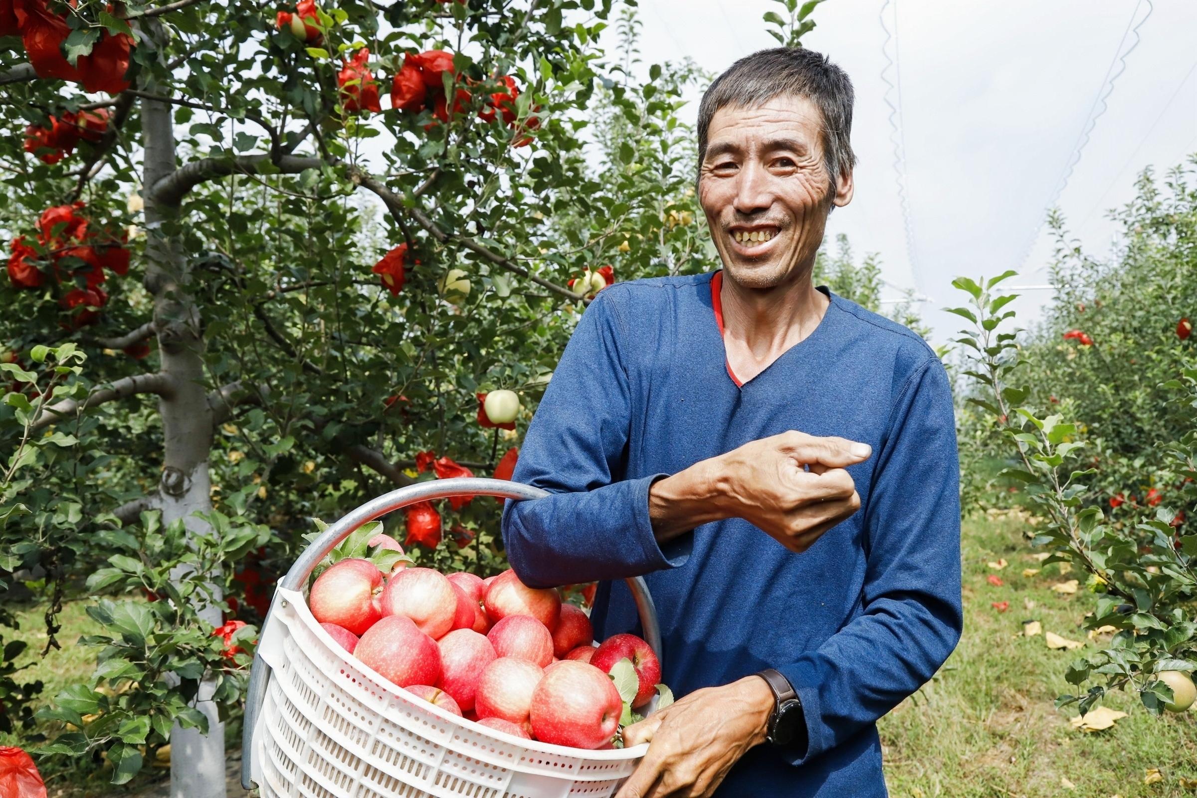 （转）子长市史家畔便民服务中心：“外来人”带领村民变身“三金农民”