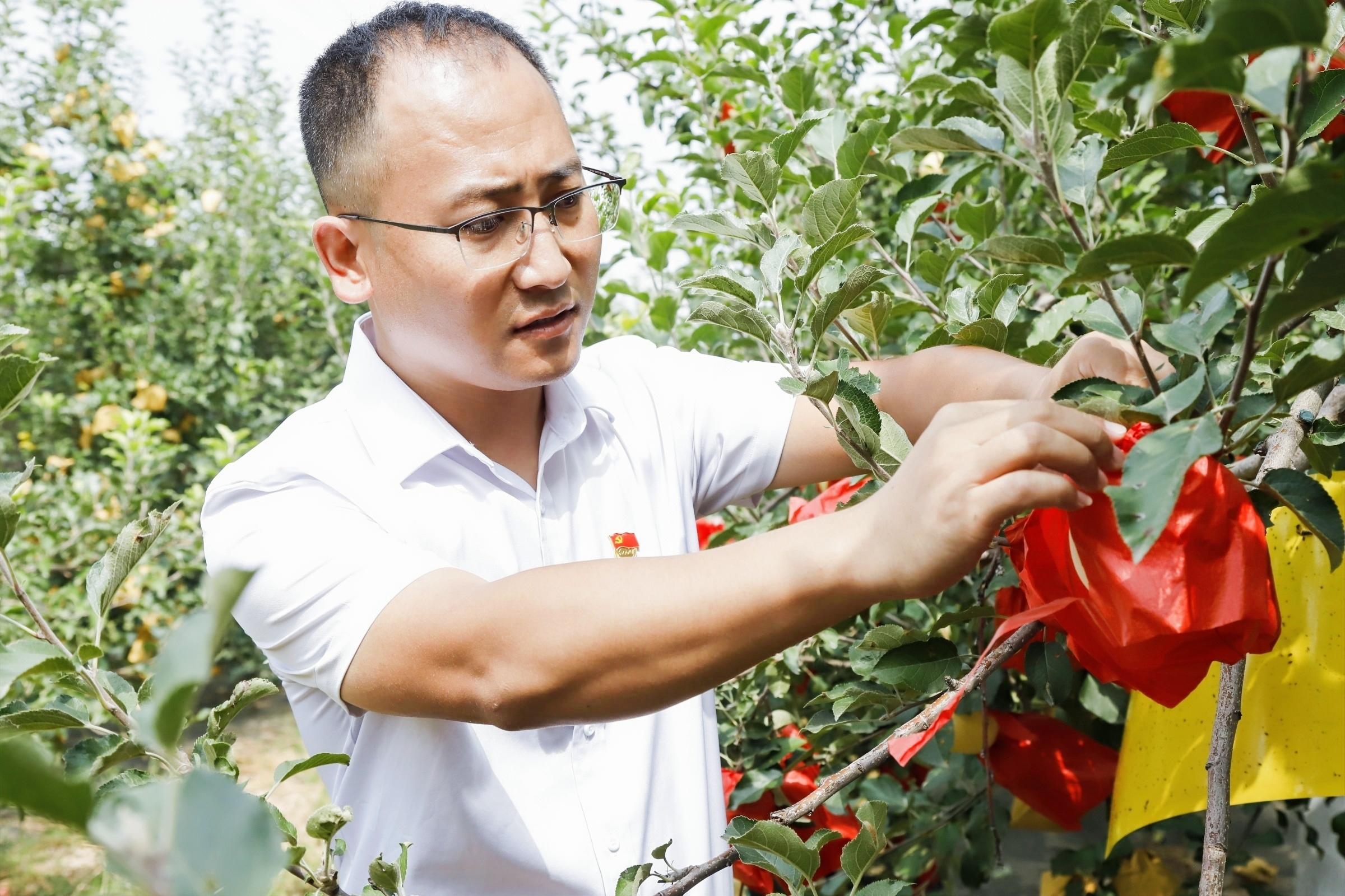 （转）子长市史家畔便民服务中心：“外来人”带领村民变身“三金农民”