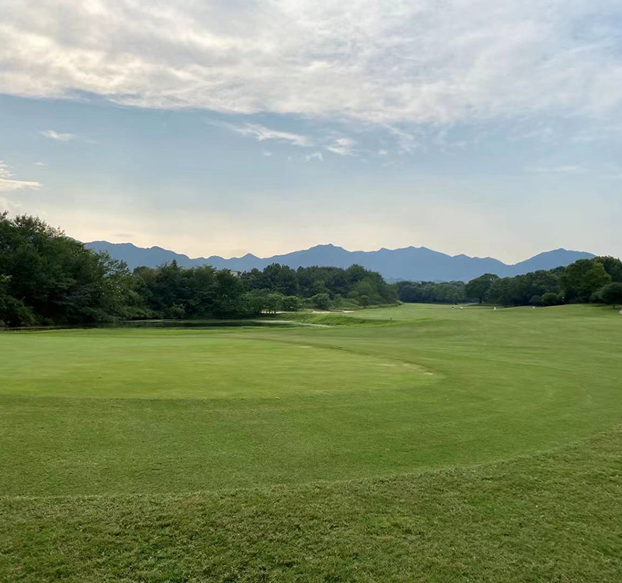 国际范迈向新未来——探访杭州西湖区亚运会场馆
